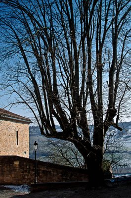 Cordes sur ciel