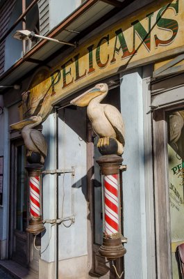 Le plican