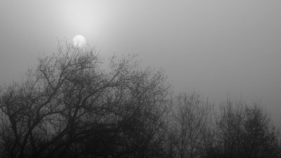 Jour de brouillard