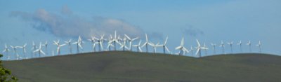 Altamont Pass Windmills.jpg