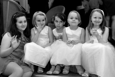 DSC_8224  a b&w.jpg