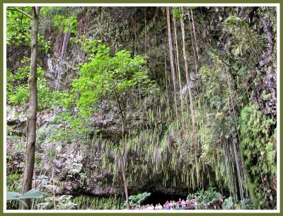 Fern Grotto, Kauai.