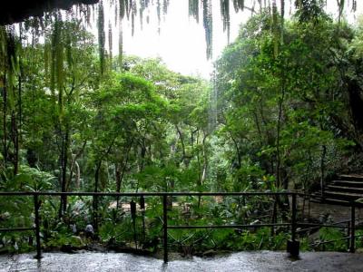 Looking out from under the grotto.