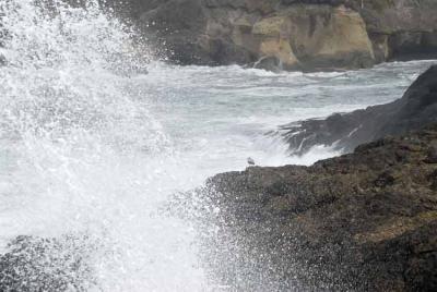 The sea is hardly ever still.