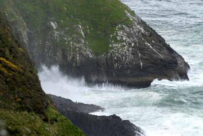 Near the sea lion caves.