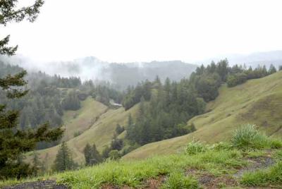 Some of the spring rains in Ca, this year.