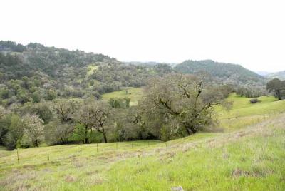 View from Hwy 101 near Wilitts Ca.