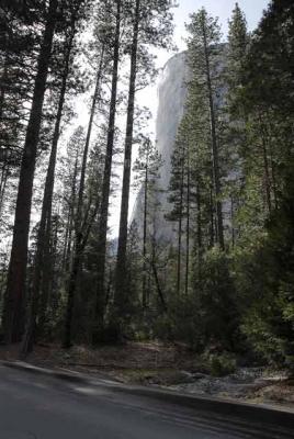 Yosemite NP