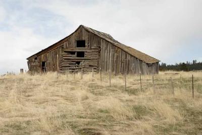 It is a hard life, even for a barn.
