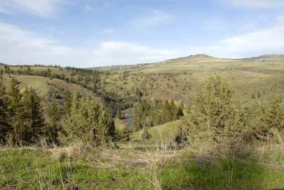 Scenery has shifted back to hills and greenery.