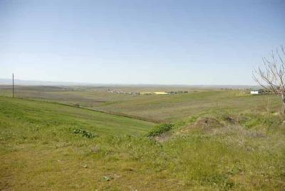 View from a hilltop, Pendelton Oregon.