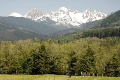 Mountains pose for the camera.