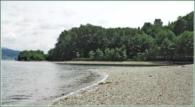 g4/50/229550/3/61501851.pano1269701web.jpg