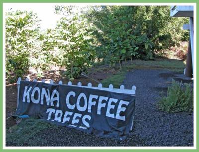 Time for a coffee break.