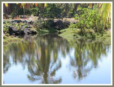 A rippled reflection caught my eye.