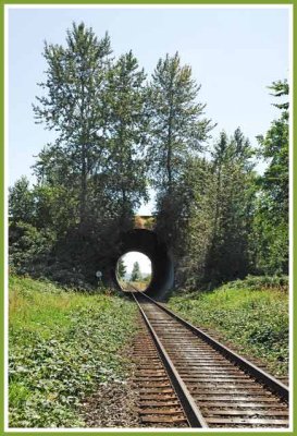 The tree at the end of the tunnel.