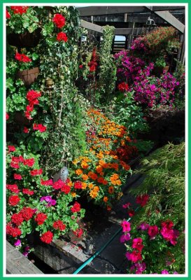 The floating garden.