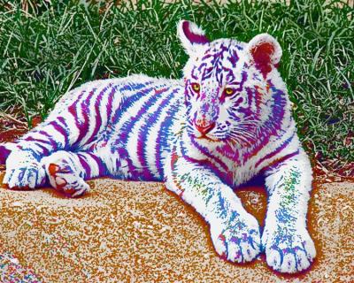 White Tiger by a Daltonic Painter