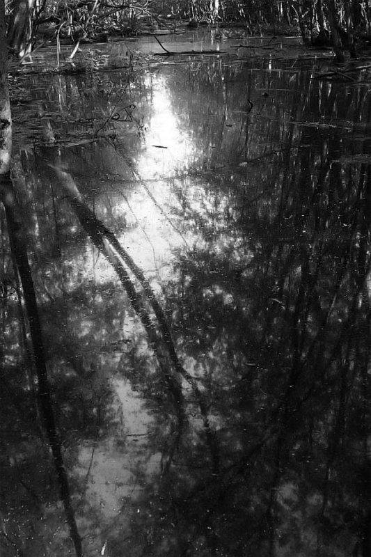 Image 018.jpg