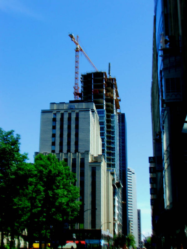 DSCF0236.jpg