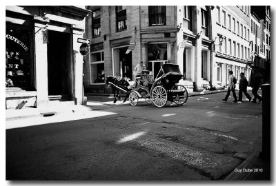 Riding in the Old Montreal