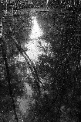 Image 018.jpg