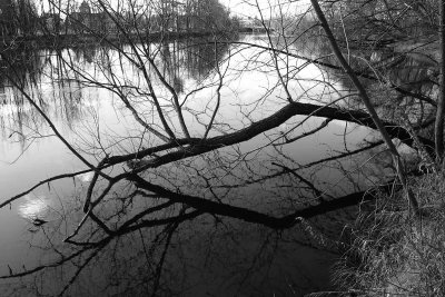 Image 026.jpg