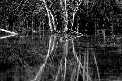 Image 032.jpg