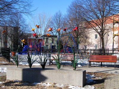 IMG_1722.jpg