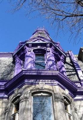 IMG_1750.jpg