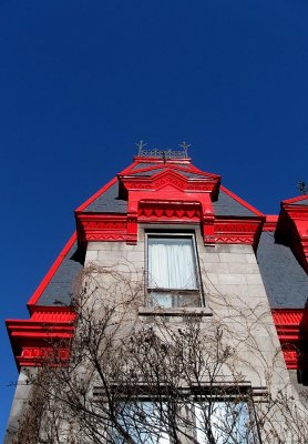 IMG_1756.jpg
