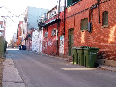 IMG_1785.jpg