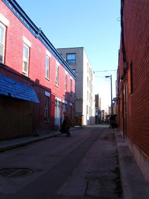 IMG_1795.jpg