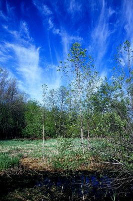 Blue sky