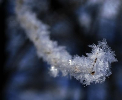 _MG_9955.jpg
