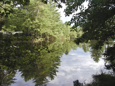 acres-022.jpg