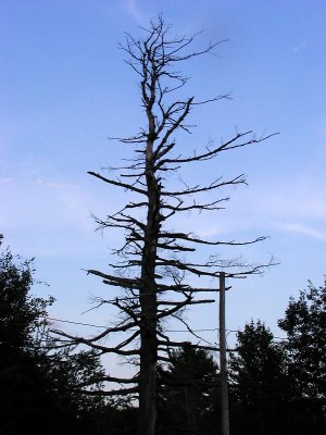 acres-026.jpg