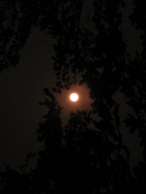 acres-045.jpg