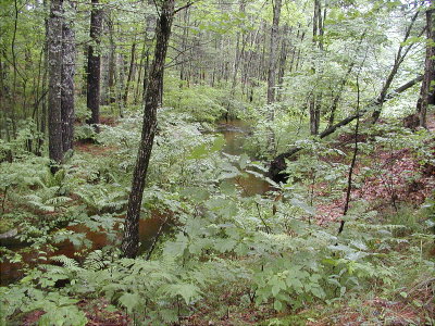 acres-052.jpg