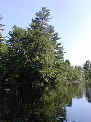 acres-059.jpg