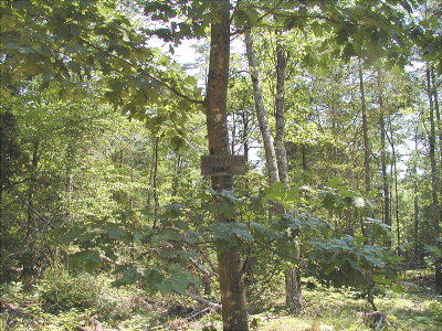acres-092.jpg