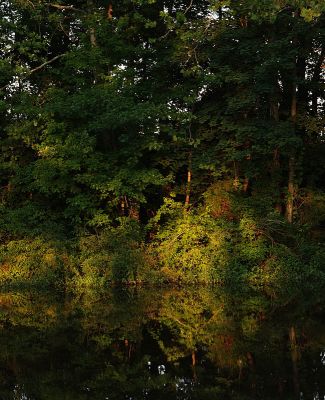 Evening Reflections