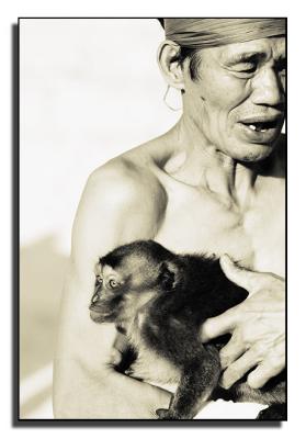 monkey.jpg