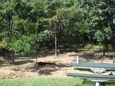 View of some of bulldozed area