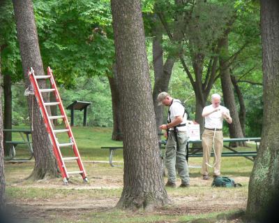 With Kent's help, Jeff prepares for the climb to retrieve chicks at l:20 PM.