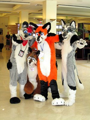 Furry Connection North 2011