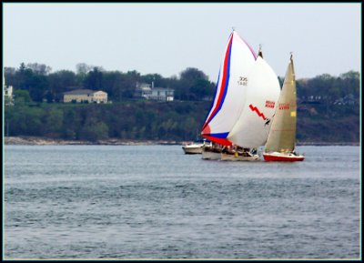 IMG_0005.jpg