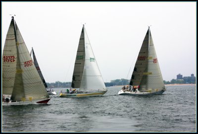 IMG_0037.jpg