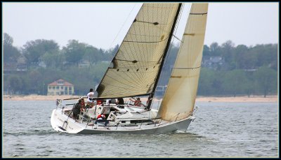IMG_0050.jpg
