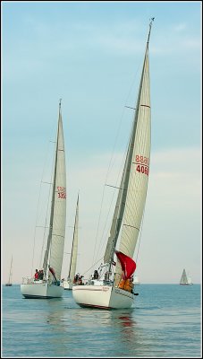 IMG_6319.jpg